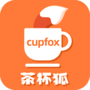 CUPFOX.APP茶杯狐