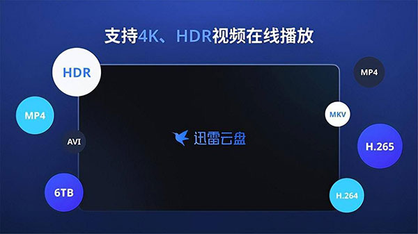 迅雷云盘TV版截图3