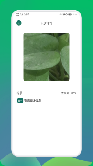 小园丁截图2