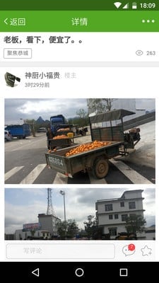 恭城油茶论坛截图1