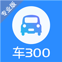 车300专业版 