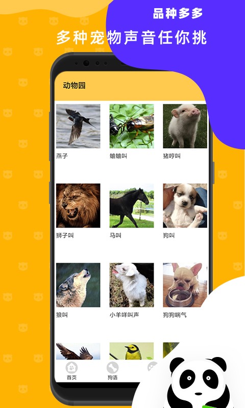 猫狗翻译神器app免费版截图3