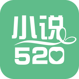 小说520