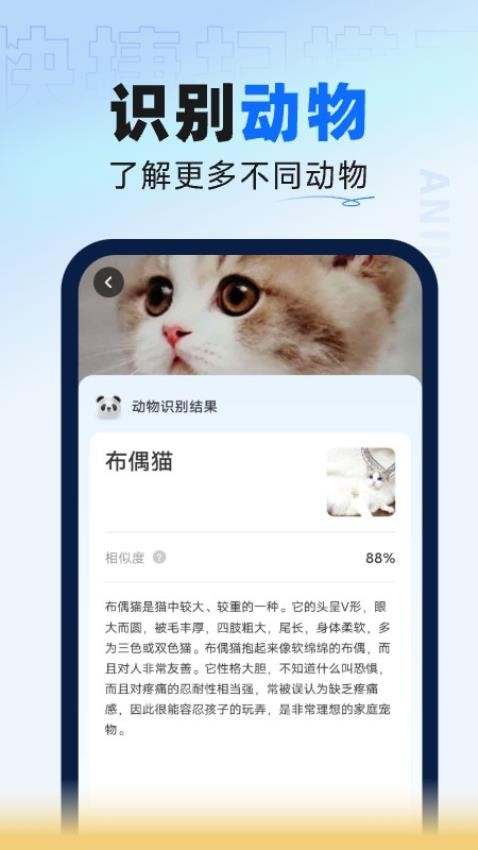 叮咚扫描大师官方版截图3