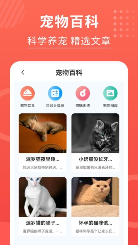 猫猫翻译器软件