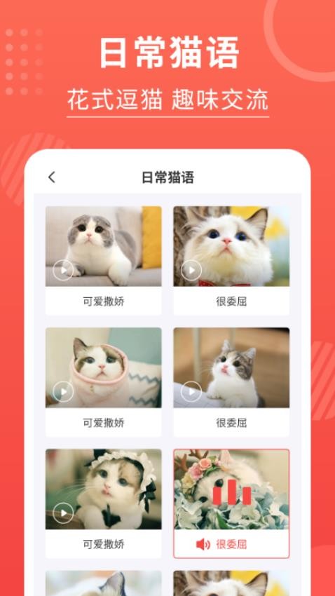 猫猫翻译器软件截图4