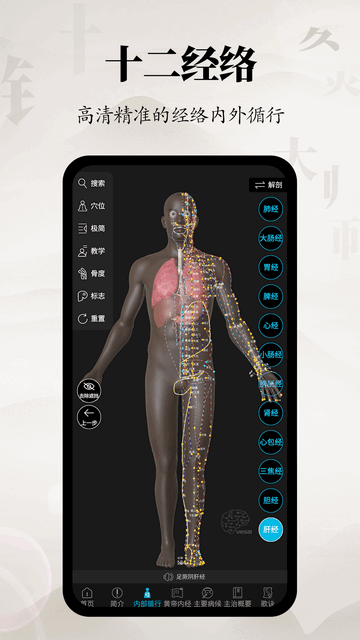 针灸大师安卓版截图1