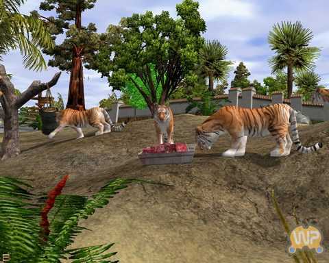 野生动物园大亨2(Animal Tycoon 2)截图3