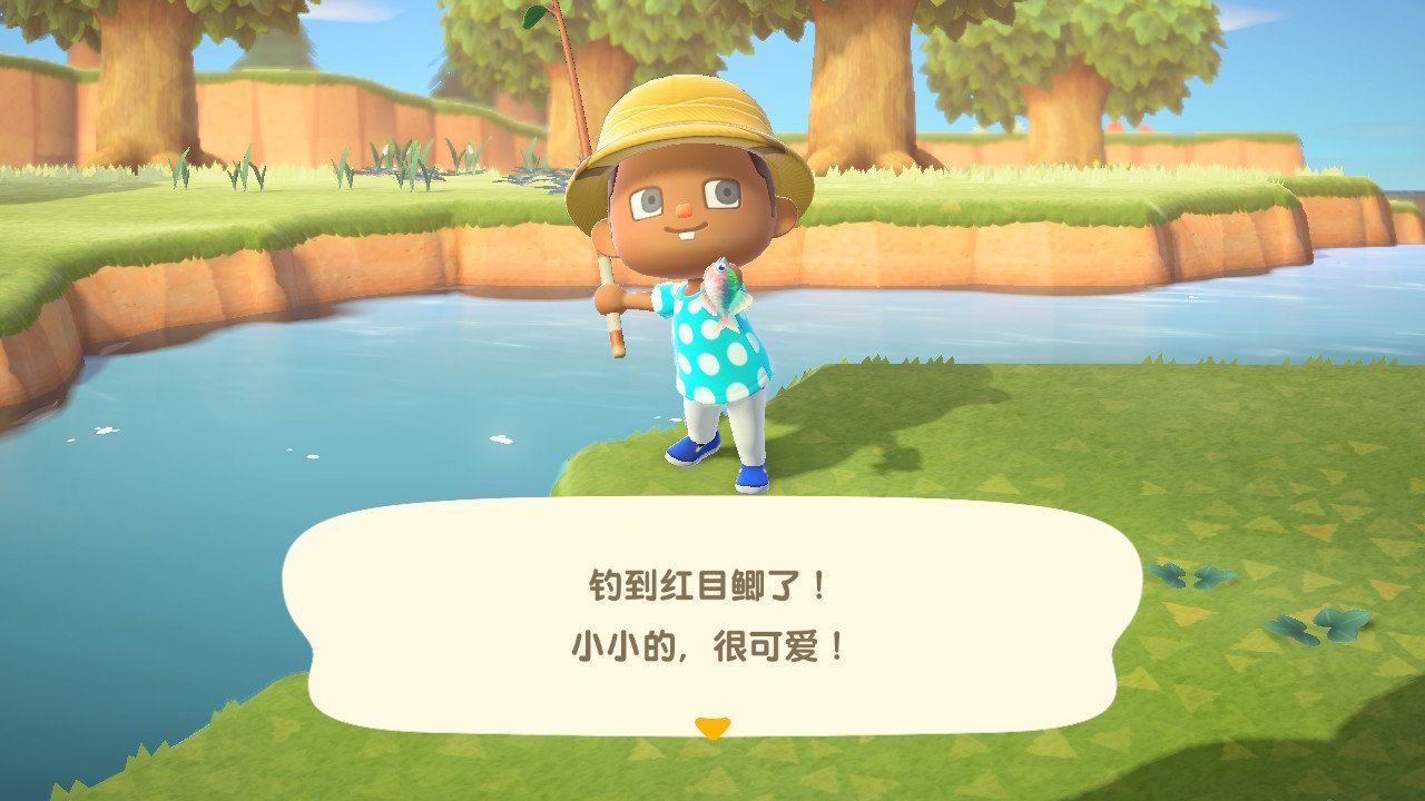 动物之森(Pocket Camp)安卓版截图2