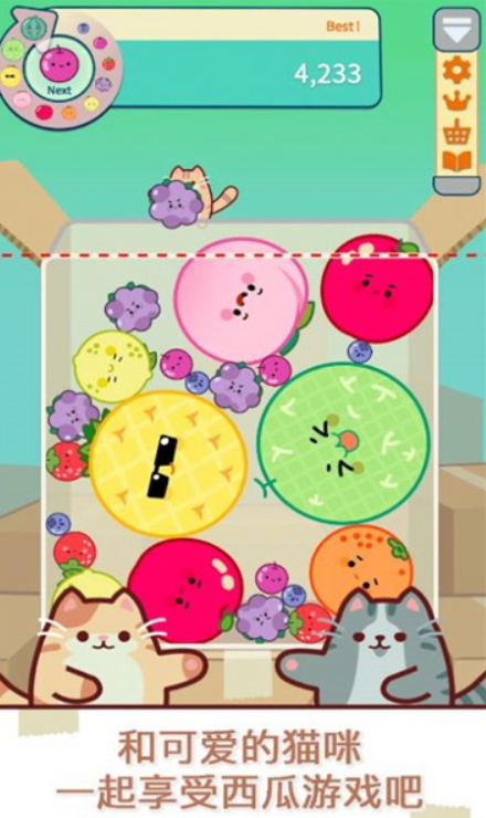 猫和西瓜游戏(Cat & Watermelon)截图2