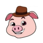 猪猪软件库安装包