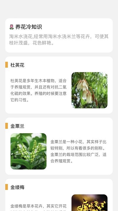 百花悦看app截图2