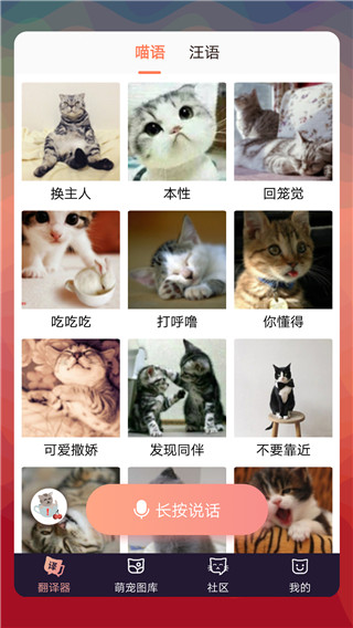 猫语翻译器app免费版截图3