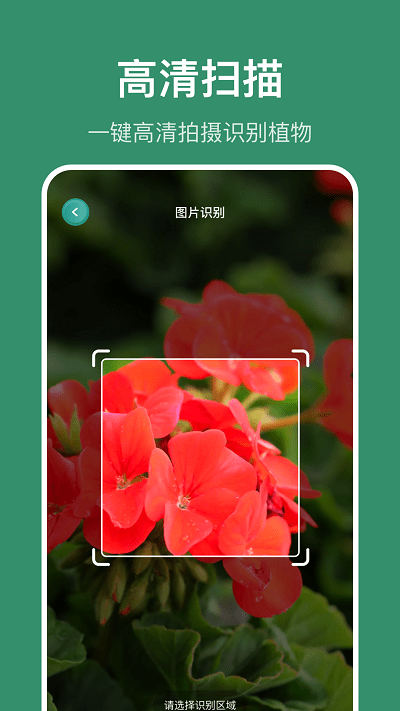 花仙识花草app截图2