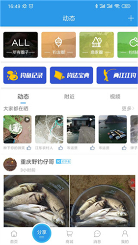 重庆钓鱼网手机版app(改为17钓鱼)