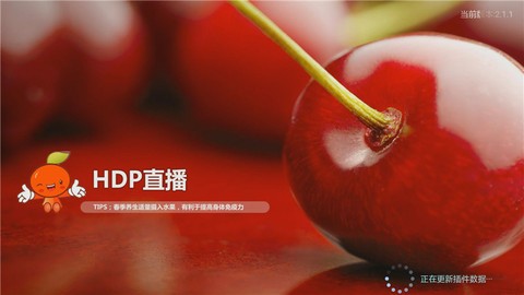 hdp直播电视版(改为高清直播)截图2