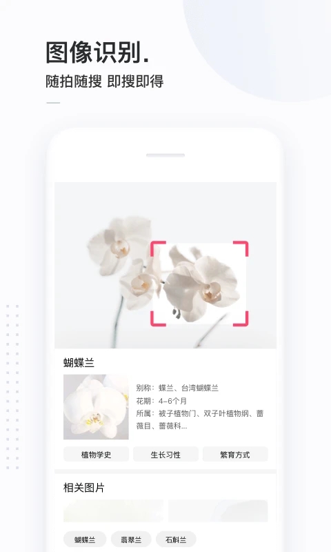 简单搜索app截图1