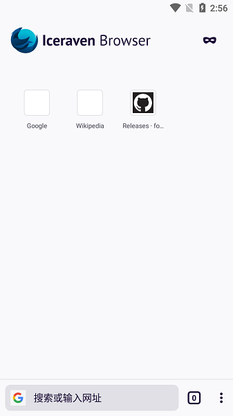 Iceraven浏览器官方版截图1