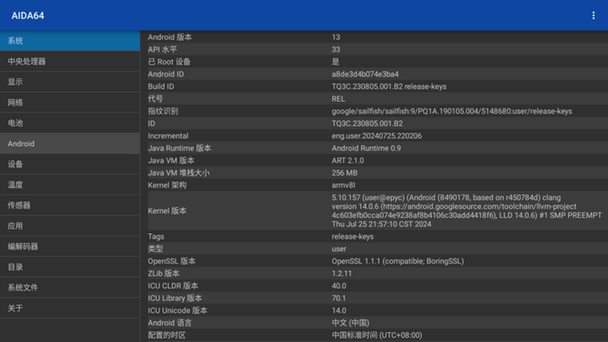 AIDA64电视版截图3