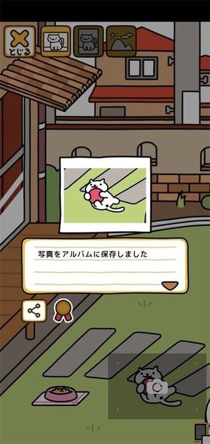 猫咪后院2最新版(Nekoatsume2)截图2