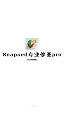 Snapsed专业修图pro免费版中文截图3