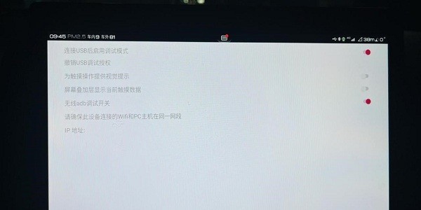 无线adb开关app车机版(BydDevelopmentTools)截图1