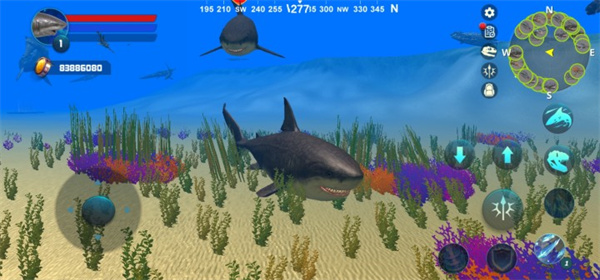 巨齿鲨模拟器(Megalodon Simulator)最新版截图1