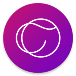 cot表盘手表端apk