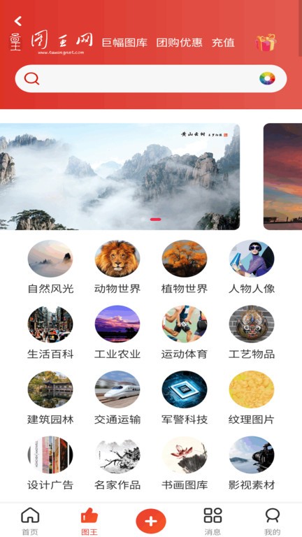 图王网app截图3