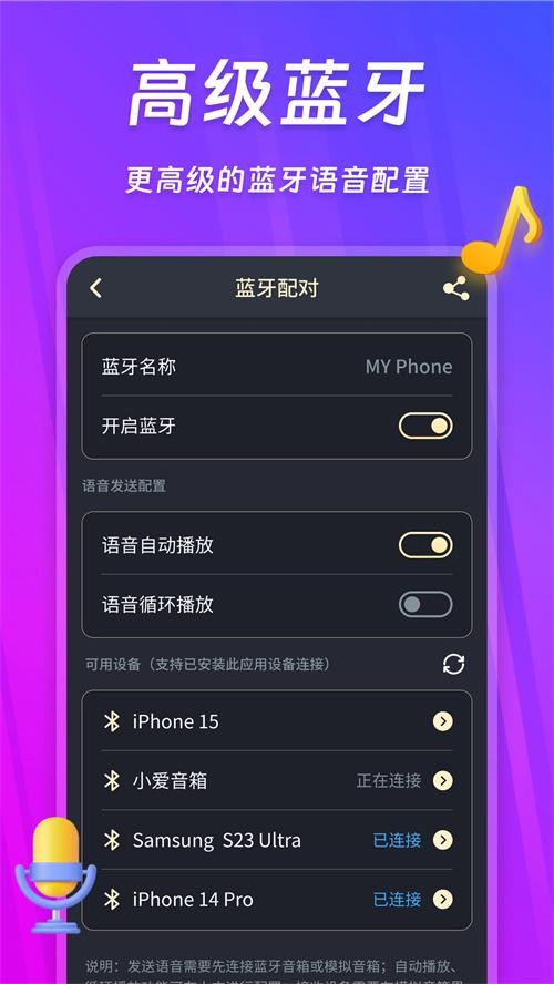 话筒扩音器app截图4