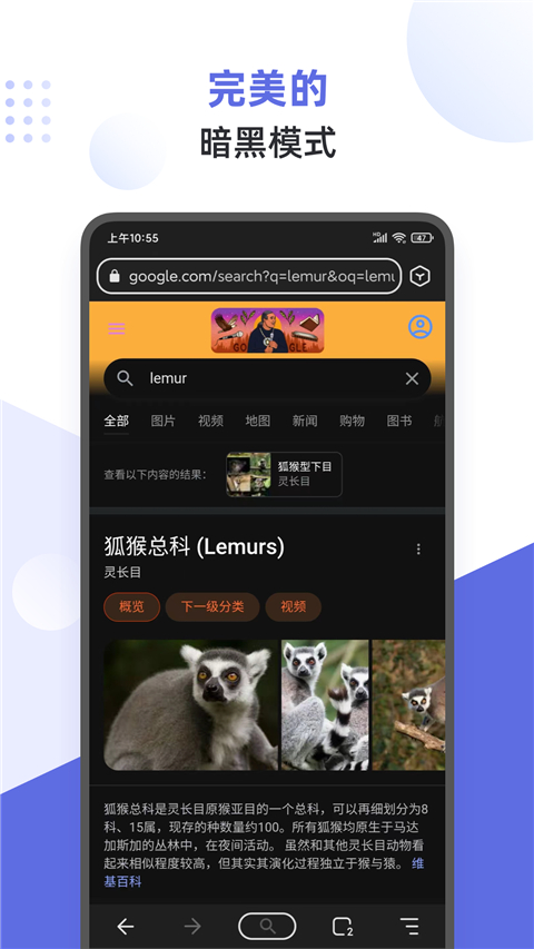 狐猴浏览器app官方版(Lemur Browser)截图3