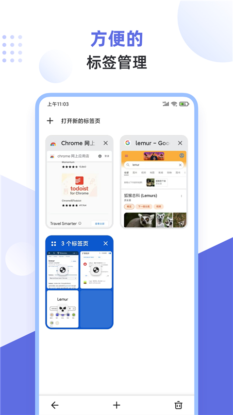 狐猴浏览器app官方版(Lemur Browser)截图4