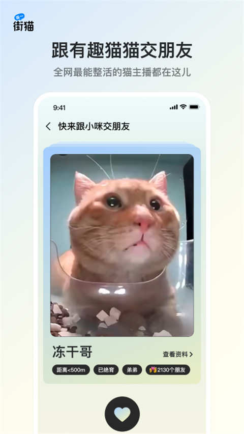 街猫手机最新版