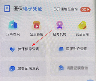 新疆兵团医保app2