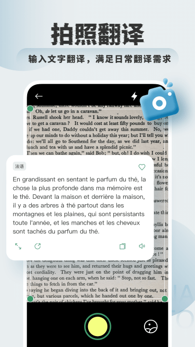 银叶实时翻译软件(改名法语翻译)截图1