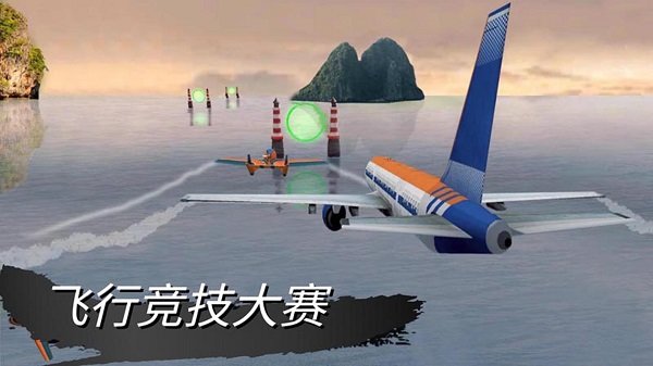 仿真驾驶挑战最新版截图4
