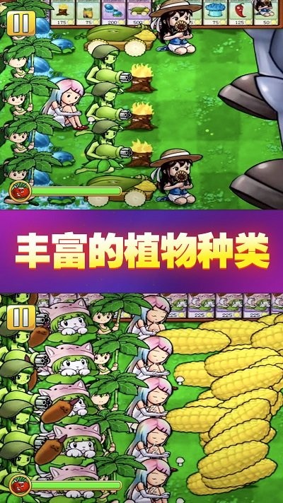 战阵风云游戏截图3