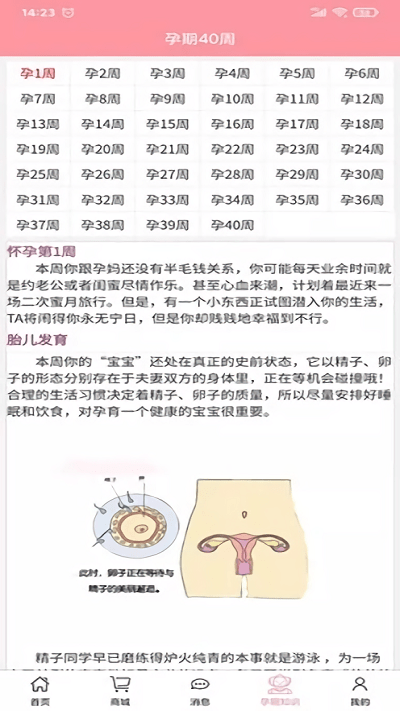 孕婴安孕妇端app截图1