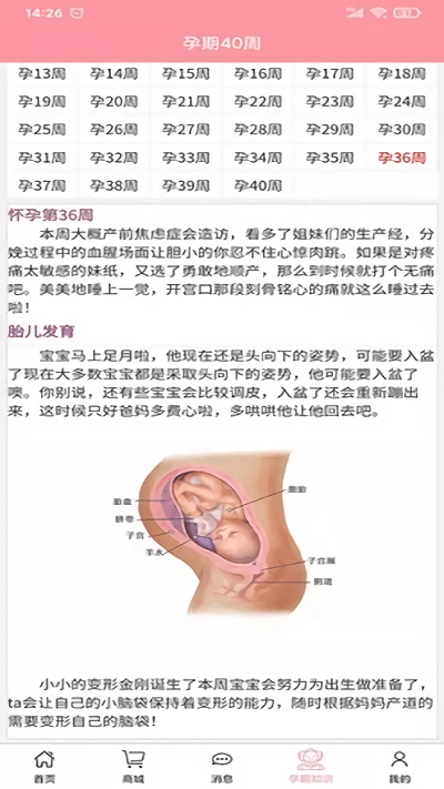 孕婴安孕妇端app截图3
