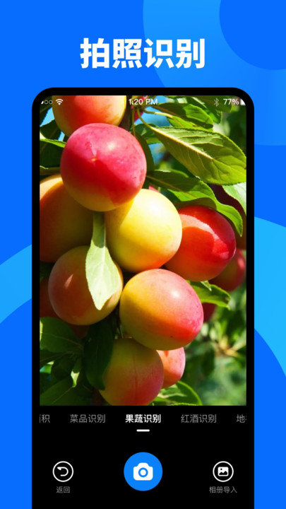 奕墨文字识别大师app截图4