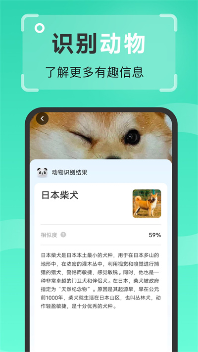 王牌扫描王软件截图2