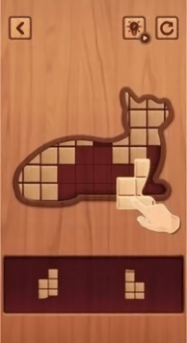 木块拼图谜题游戏(wood99)截图3