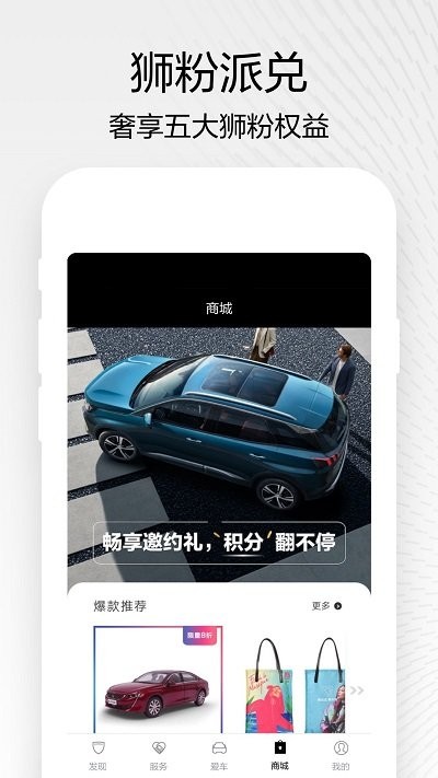 东风标致软件截图2