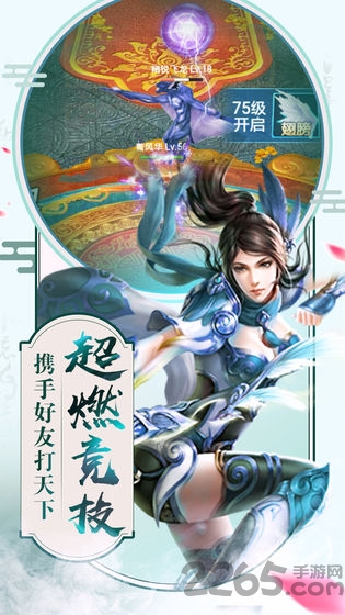 流云天境手游截图3