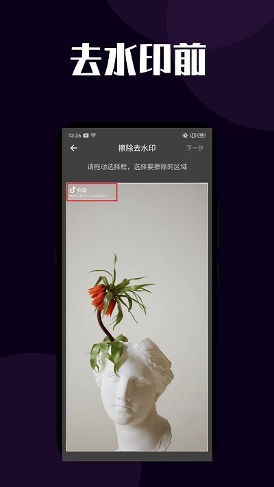 短视频去水印大师软件截图1