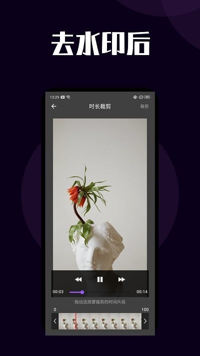 短视频去水印大师软件截图2