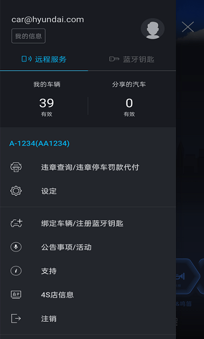 bluelink手机app截图2