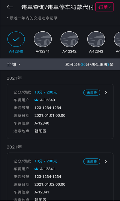 bluelink手机app截图3