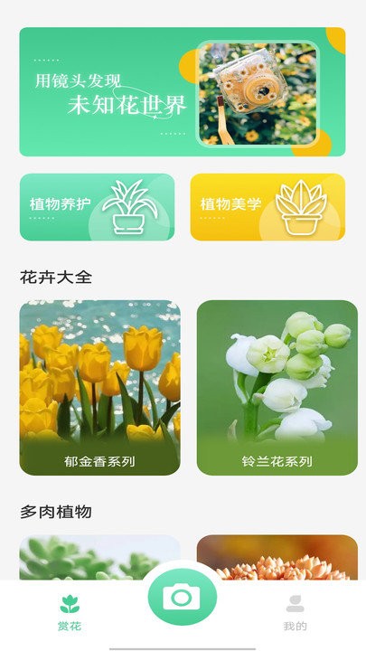 拍照识别植物弛意版app截图1