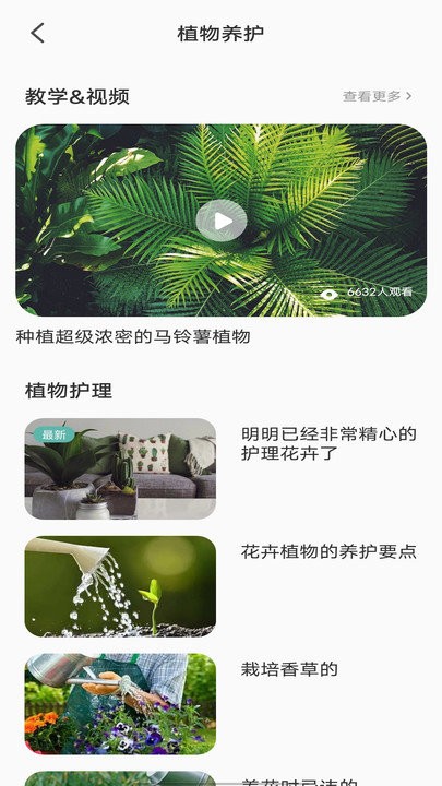拍照识别植物弛意版app截图3